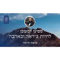 פרשת תרומה • מסיני למשכן - לחיות ביראה ובאהבה