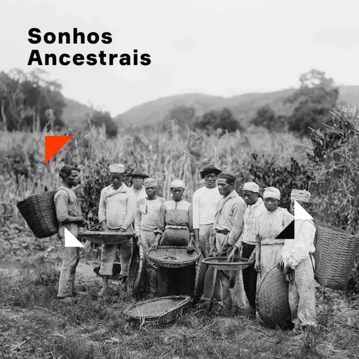 Luiz Gama | 4. Sonhos Ancestrais