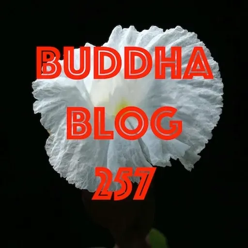 257-Gelassenheit-Buddha Blog - Buddhismus im Alltag