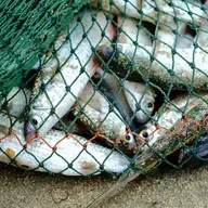 Послушание словам Господа