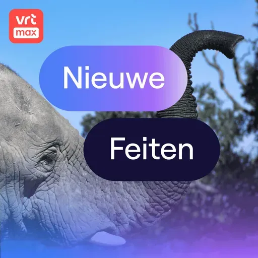 Olifantenslurf staat vol slimme tastharen