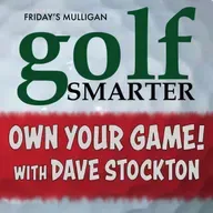 OWN YOUR GAME! 2 full episodes with Dave Stockton