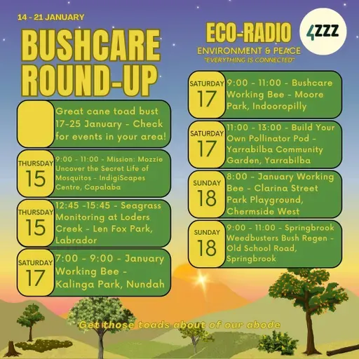 Brisbane Tool Library