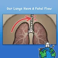 Our Lungs Have A Fatal Flaw