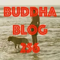 256-Klarheit-Buddha Blog - Buddhismus im Alltag