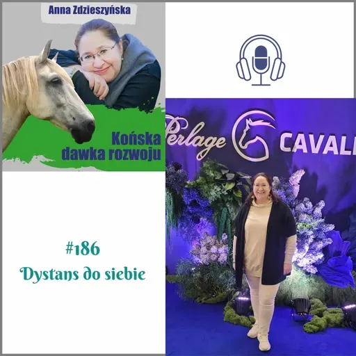 #186 Dystans do siebie