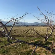 朝ラン5℃。hyhレディオのオープニング完コピと冷蔵庫と妄想と答えの出ない事態に耐える力。#1825 from Radiotalk