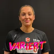 Bautaen ble sammenlignet med stormåsen fra Narvik