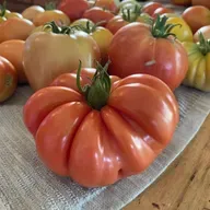 More Tips for a Successful Garden