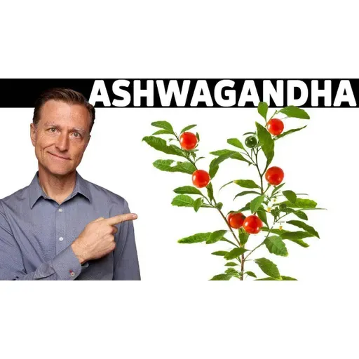 THIS is the Most Powerful ADAPTOGEN in The World - How it Works and Why it's THE BEST