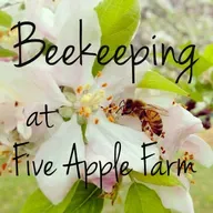 Ep157  More Springtime Tips: Keeping bees in the boxes, avoid the honey dome, get more comb drawn, know if your hive is queenright or queenless.
