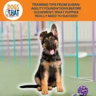 Training Tips From Susan: Agility Foundations Before Equipment: What Puppies Really Need To Succeed