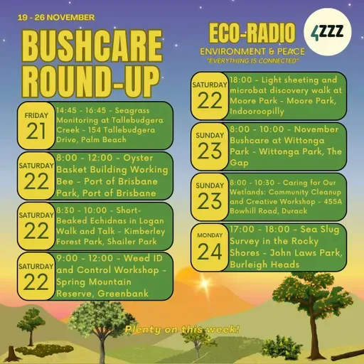 Bandicoots, South Korea and Dingos