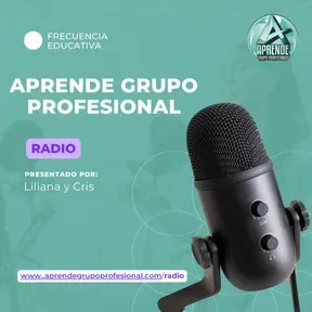 Aprende Grupo Profesional