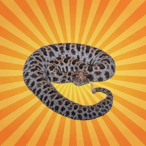 Le serpent à sonnette pygmée voit la chaleur de ses proies