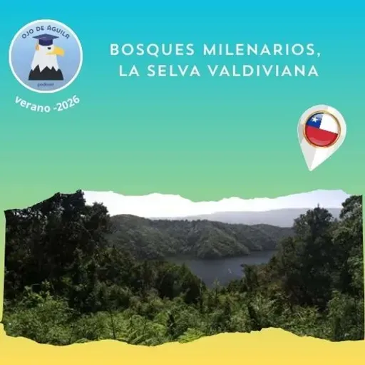 Ojo de Águila Cap 81- Bosques milenarios, la selva valdiviana...