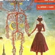 S8 Ep788: 2. Monitor Lizards in the Home In Noosa, Queensland—an area described as "snake central"—a resident discovered a two-to-three-foot monitor lizard hiding under their bed. These reptiles are often mistaken for brown snakes because of their long, brownish-gr