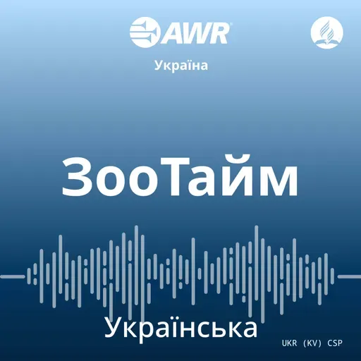 Фінансова грамотність