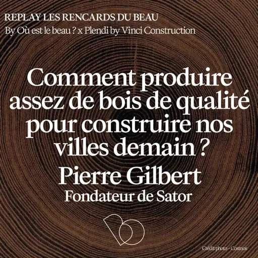 [Hors Série] 🎤 Comment produire assez de bois de qualité pour construire nos villes demain ? avec Pierre GILBERT, Prospectiviste