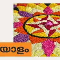 കേരളത്തിലേക്ക് പോകുമ്പോൾ ട്രാവൽ വാക്സിനെടുക്കണോ? അവധിക്കാല യാത്രയ്ക്കൊരുങ്ങുമ്പോൾ...