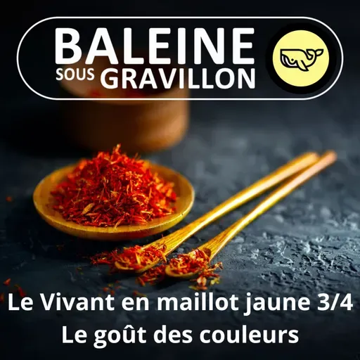 S07E64 Le Vivant en maillot jaune 3/4 : Curcuma, safran, paprika... le goût des couleurs (Frédéric Archaux)