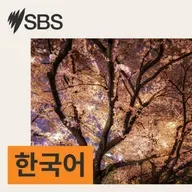 2026년 1월 14일 수요일 SBS 한국어 프로그램