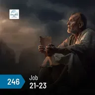 Job 21-23