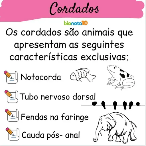 Cordados