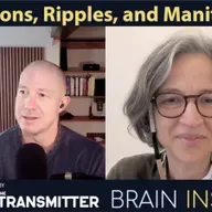 BI 236 Liset de la Prida: Neurons, Ripples, and Manifolds