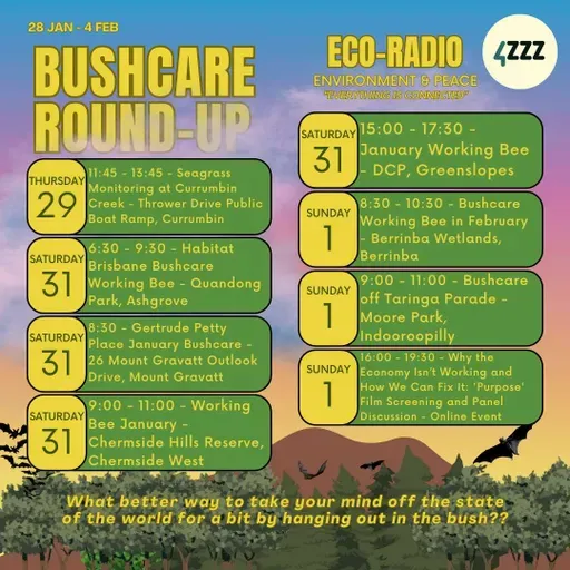 Invasion Day and Great Cane Toad Bust Re-Cap