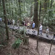 Der Taxifahrer von Jerantut