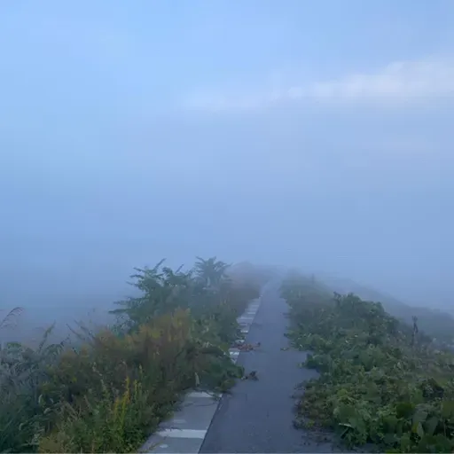 朝ラン5℃。寒さに慣れた朝と川面の霧と北アルプスと初冠雪とスタッドレスと県中学女子駅伝。#1672 from Radiotalk