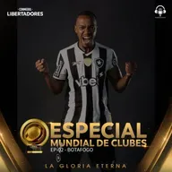Especial Mundial de Clubes - Botafogo