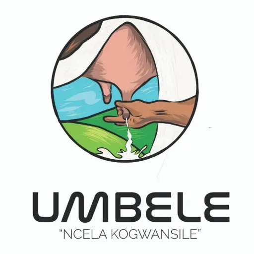 UNkk uKaMadlopha-Mthethwa ngezinhlelo zokugoma