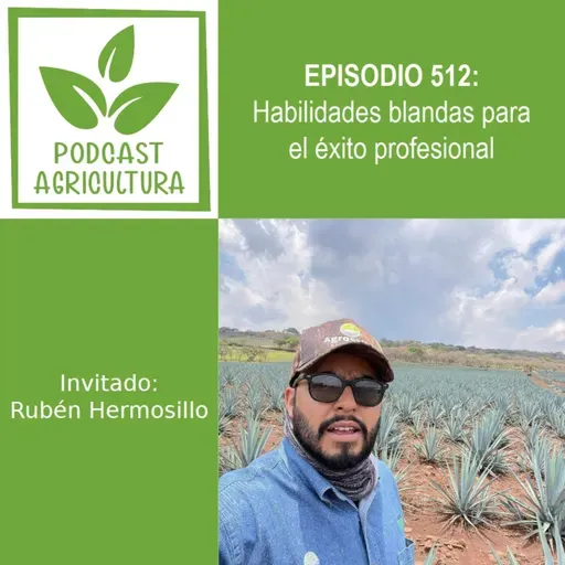 512 Habilidades blandas para el éxito profesional con Rubén Hermosillo