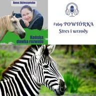 #169 POWTÓRKA – Stres i wrzody