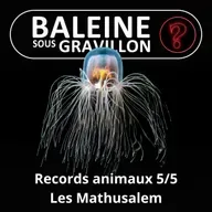 S07E148 Vous avez dit bizarre ? Records 5/5 : Les Mathusalem