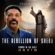 Chapter 28: The Rebellion of Sheba