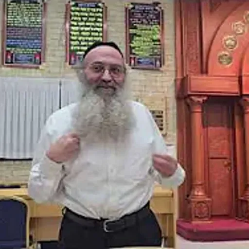 הרב מאיר כהן | הָרַגְזָן נִדְמֶה בְּעֵינֵי בּוֹרֵא עוֹלָם כְּמוֹ זְבוּב!