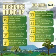 Banned Words - Quolls - Koalas - Forests