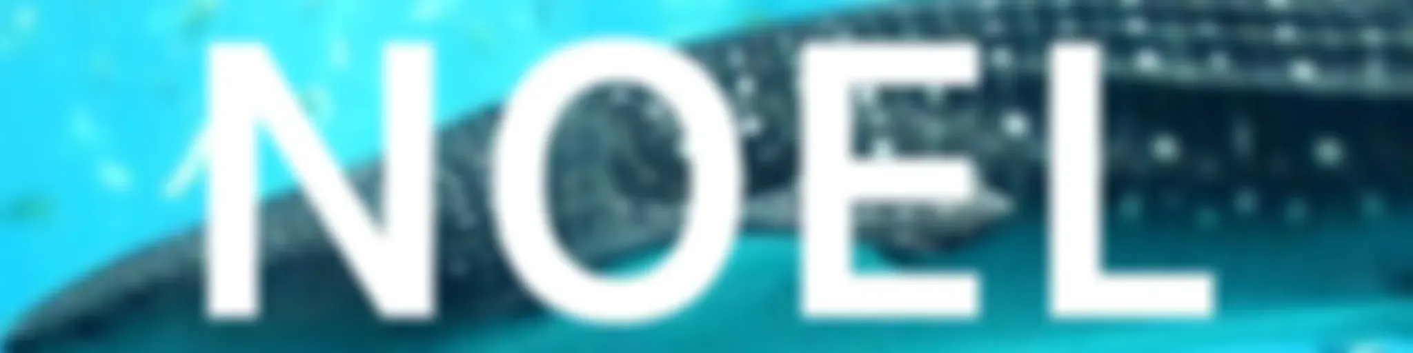 .NOEL.
