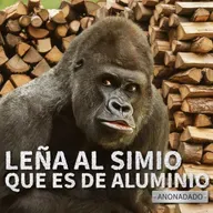 LM1110 - Respuesta a Carlos Castillo