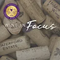 Wine in Focus | Inside the judging room: How wines win