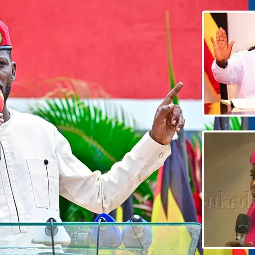 Bino obadde obimanyi? Kakati baleseewo ekiboozi kya ADF, kikino kyebazaako.