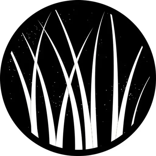 Don't Feast on the Yeast