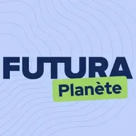 La Méditerranée perd ses virus… et ce n’est pas une bonne nouvelle