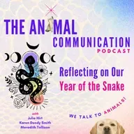 Reflections on Our Year of the Snake