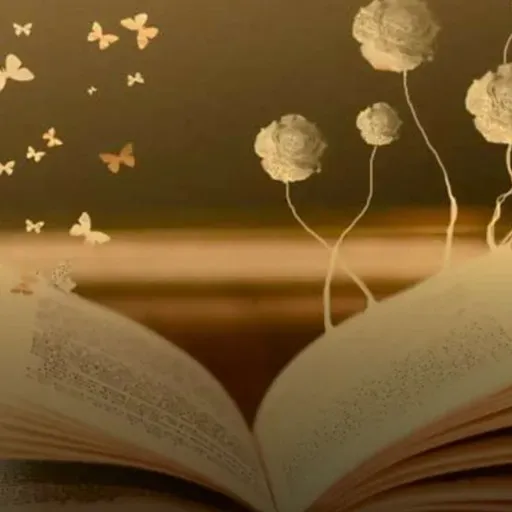 Господин Подреди-Всичко - Пиер Байи, Селин Фрейпон, изд. Пурко