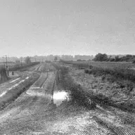 S8 Ep242: Professor Matthew Longo. Reflecting on the site thirty years later, Longo discusses the philosophical implications of freedom using Isaiah Berlin and Hannah Arendt. He contrasts Western "negative liberty" with the solidarity desired by East Germans, notin