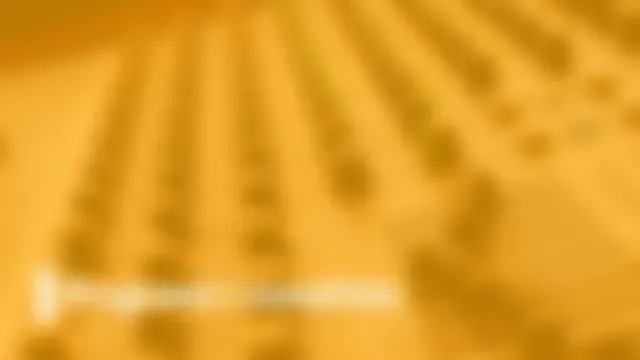 Programi i mesditës